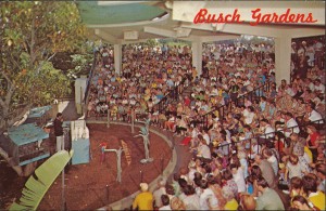 Busch Gardens, Van Nuys, CA.